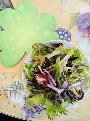   at Muir's Tea Room in Sebastopol