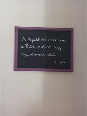  at Edeni Vegan in Budapest