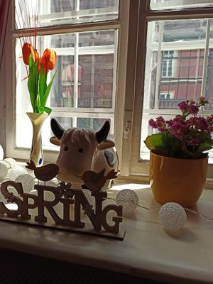  at Edeni Vegan in Budapest