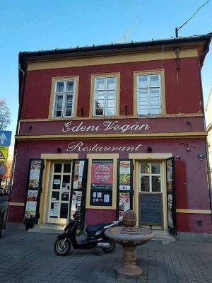 27.11.2017 at Edeni Vegan in Budapest