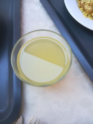 Limonade at Edeni Vegan in Budapest