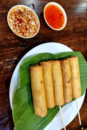 Spring rolls at Soul Organics in Koh Phangan