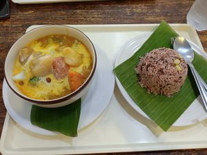 Massaman curry with rice at Soul Organics in Koh Phangan
