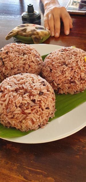 Rice at Soul Organics in Koh Phangan