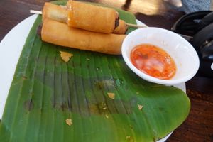 Spring rolls at Soul Organics in Koh Phangan