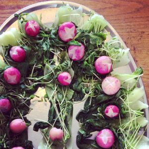 More Radishes! at Kushi Institute in Becket