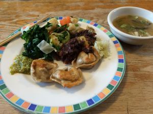 Vegan dumplings for lunch. at Kushi Institute in Becket