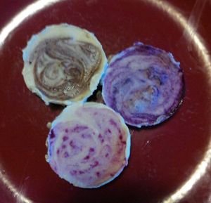 Raw mini cashew cheesecakes at Belly Full Of Veggies in Dartmouth