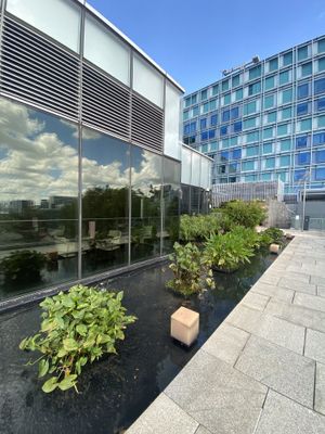 Nice environment  at Joie Restaurant in Central Singapore