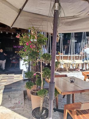 Front outside at Lola Valentina in Isla Mujeres