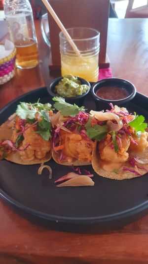 Cauliflower tacos at Lola Valentina in Isla Mujeres