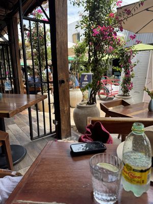 Located on the main street near playa norte   at Lola Valentina in Isla Mujeres