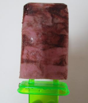 coconut icecream at Bio Vegan in Bratislava