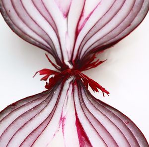 Red Onion  at The Flying Falafel in San Francisco