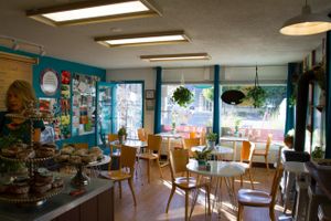 Earth Girl Goodies & Eatery. We have indoor and outdoor seating available. We offer raw/vegan desserts, healthy smoothies, nourishing bowls, refreshing salads and flavorful hot soups.. as well as daily specials at Earth Girls Goodies & Eatery in Durango