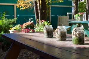 Earth Girls offers both indoor and outdoor seating. Our lovely patio garden area is a favorite for meeting friends for lunch, corporate or group meetings, romantic lunches or dinners, or even just a quiet space to enjoy delicious food. at Earth Girls Goodies & Eatery in Durango