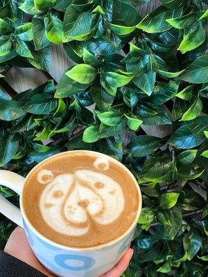  at Studio.89 in Mississauga