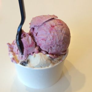 raspberry swirl and cookie dough at Cashew Cow in Tucson