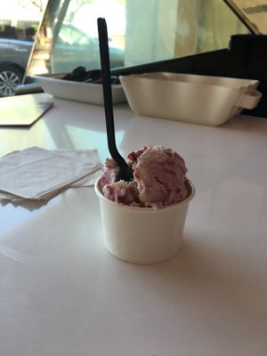 Raspberry Vanilla Swirl (taste like bacon)  at Cashew Cow in Tucson