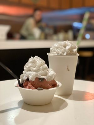2 scoops Strawberry ice cream 🍓 with whipped cream and chocolate chips paired with a cookies n’ cream shake at Cashew Cow in Tucson