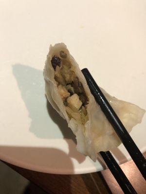 4. Vegetarian dumpling 素餃 蒸的 vegan  at Lucky Vegetarian in Brooklyn