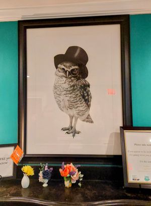  at Stone Row Pub and Eatery in Jim Thorpe