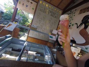 Vanilla and Strawberry  at Kokolato in Ubud