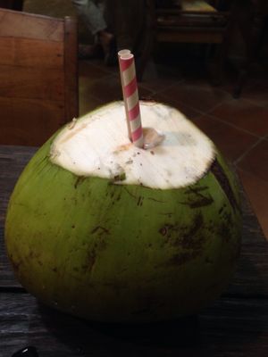 Paper straws & at Tukies Coconut Shop  in Ubud