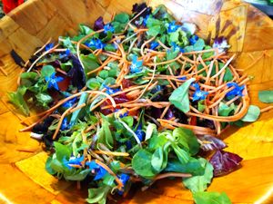 Colorful salad with flowers at Sociedade Portuguesa de Naturalogia in Lisbon