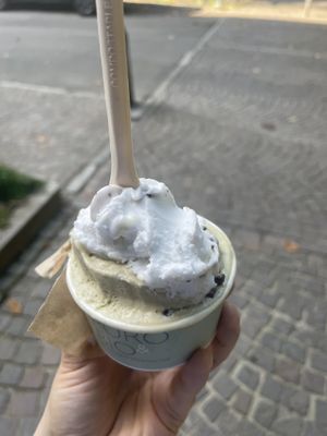   at Puro & Bio in Lodi