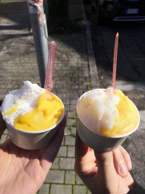 Gelati! at Puro & Bio in Lodi