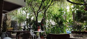  at Harmonia de Terra in Camboriu