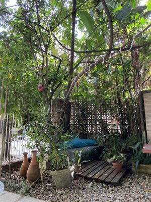   at Harmonia de Terra in Camboriu