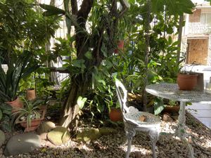   at Harmonia de Terra in Camboriu