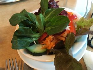 salad at Nepomuk in Reutlingen