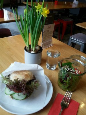 Falafel-Burger und Beilagensalat at Sol in Konstanz