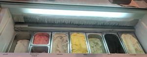 vegan ice cream case, 8 flavors! at Sol in Konstanz