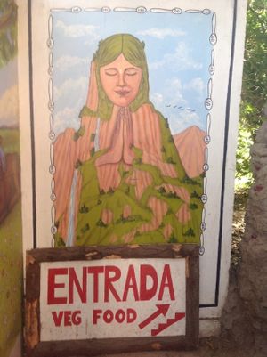 Doorway to Heaven at Govinda's Veg Food in Vicuna