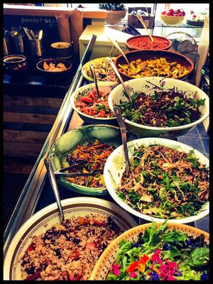 salad bar at Seeds to Totnes in Totnes
