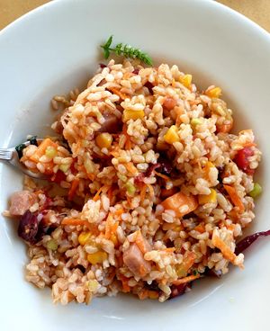 rice salad at Sali and Pistacchi in Domodossola