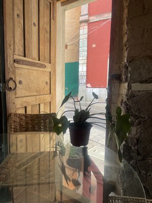From a little table in front of  at Escarola in Guanajuato