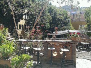 jardin at Escarola in Guanajuato