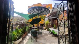 outside at Escarola in Guanajuato