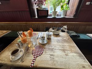 Stan looking for sausages   at Roseleaf in Edinburgh