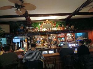 Great bar at Roseleaf in Edinburgh