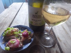 SPROUTED LENTILS KINOA * CHIPOTLE * PICKLED ONIONS * XINOMAVRO BLANC DE NOIR at Andriakon in Andros