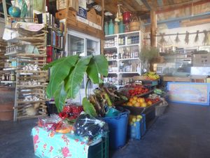 Local Fresh Organic Produce at Andriakon in Andros