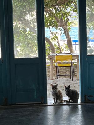  at Andriakon in Andros