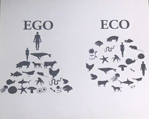 Funny but oh so true at Andriakon in Andros