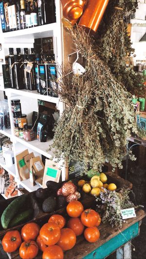 Fresh at Andriakon in Andros